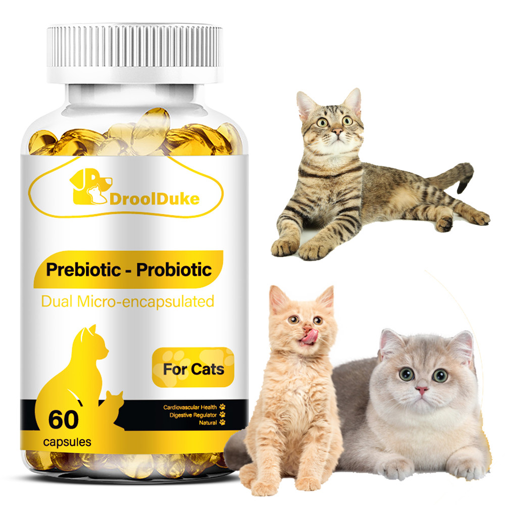 Cat Constipation Relief, Constipation Relief for Cat, Cat Laxative Constipation