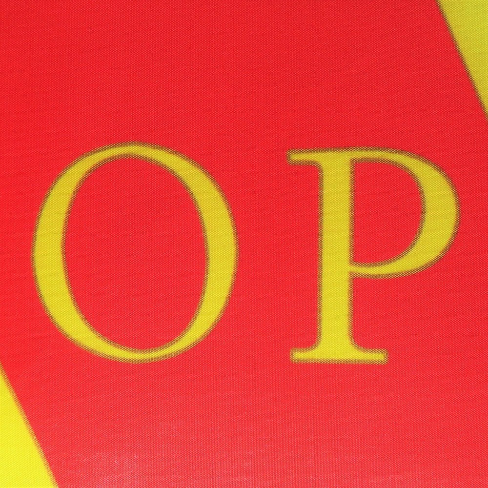 Oliver Cromwell Personal Standard 200cm x 79cm Polyester Flag