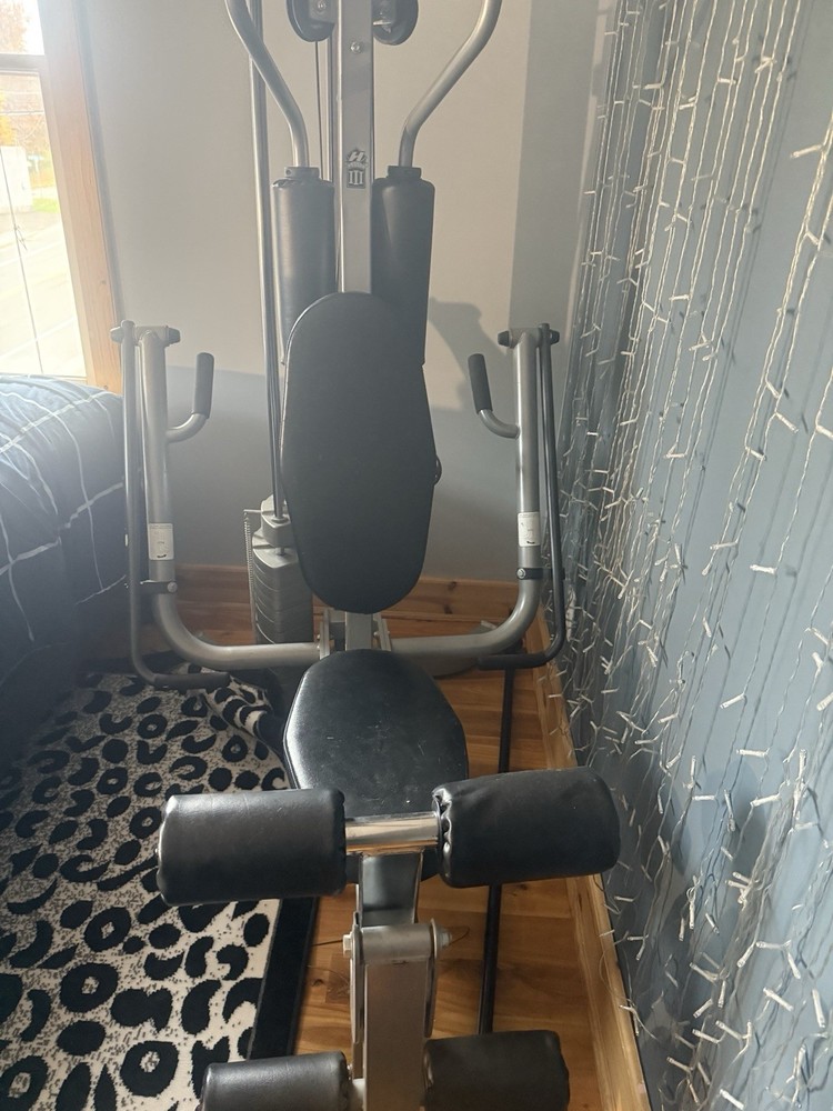 Hoist Home Gym