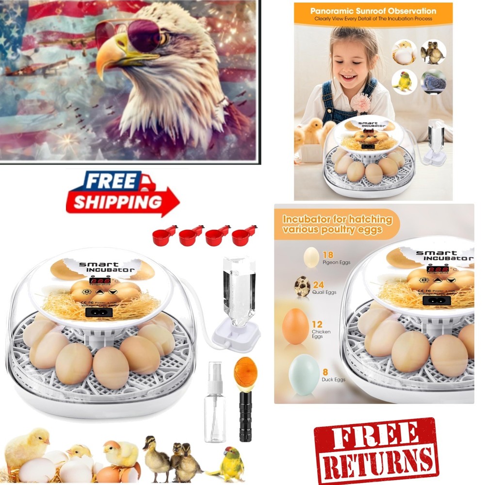 Enhanced Egg Hatching Experience - 12-Egg Incubator with Clear Window & Candler