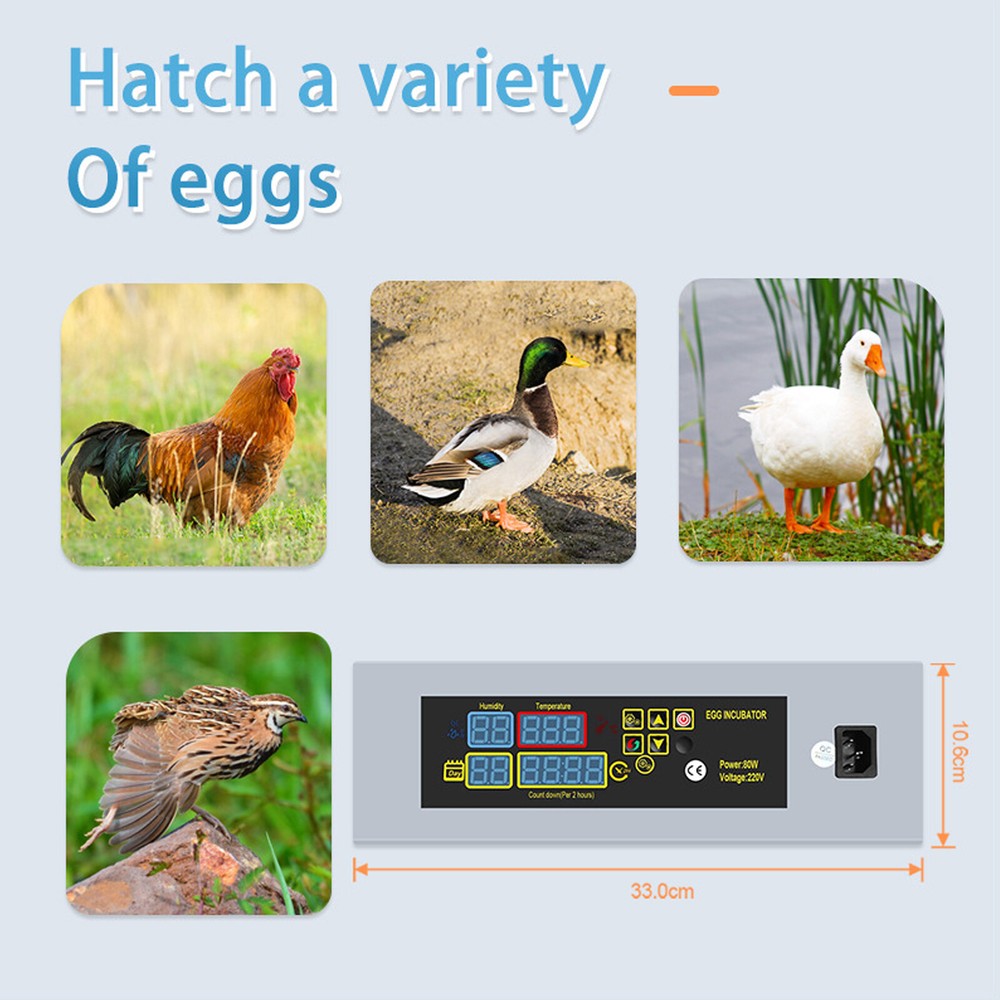US Plug 110V Egg Incubator Automatic Hatcher DIY Poultry Hatching Machine AD