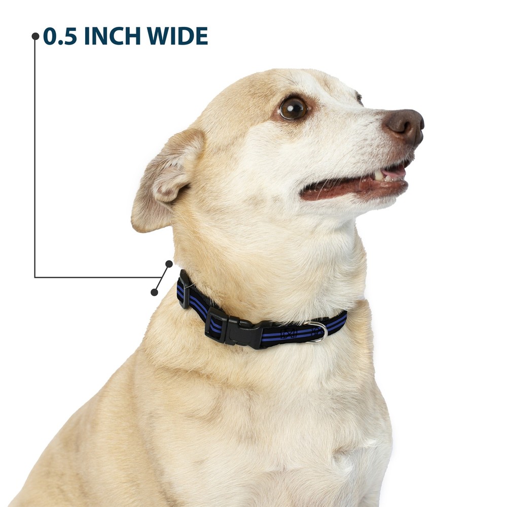 Plastic Clip Collar Stripe Black/Blue Medium 11-16.5"