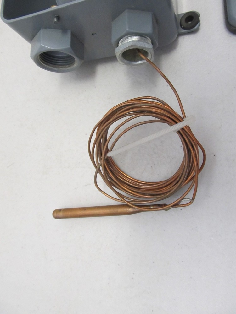 Johnson Controls A19ANC-1C Remote Bulb Temp Control w/ Rainproof Enclosure