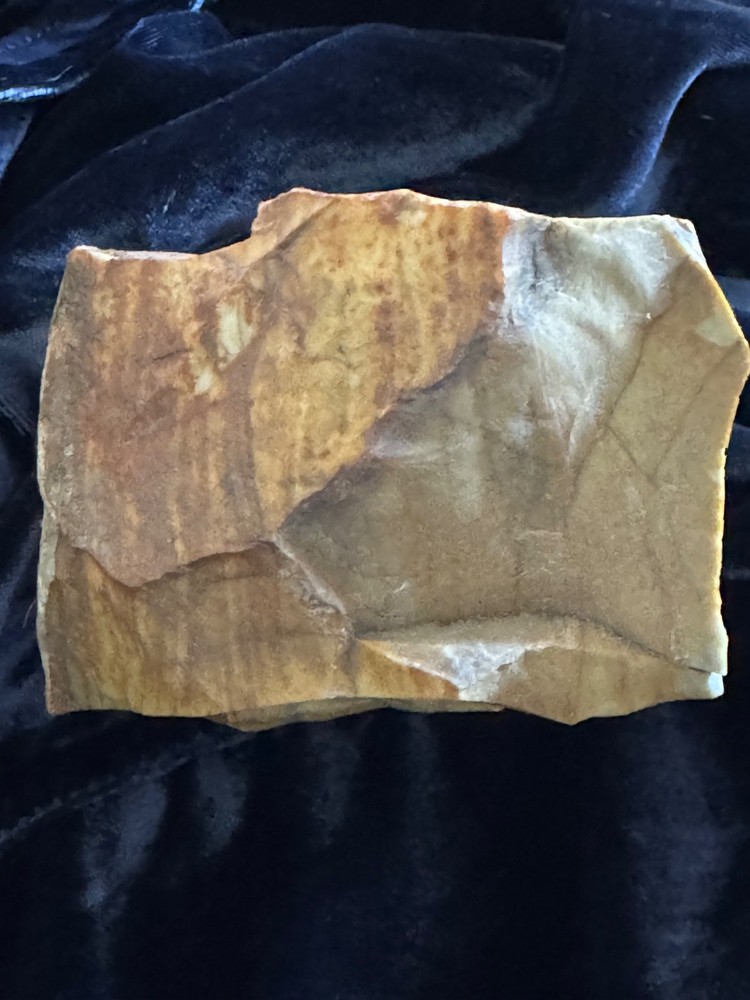 Petrified Wood