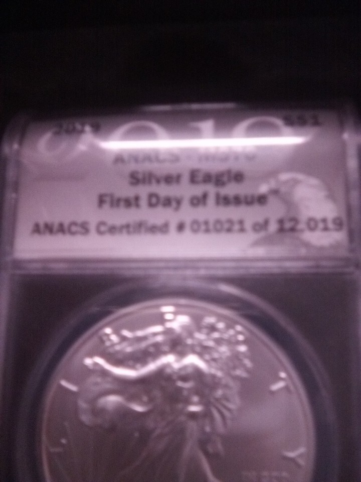 Silver Eagle Coin