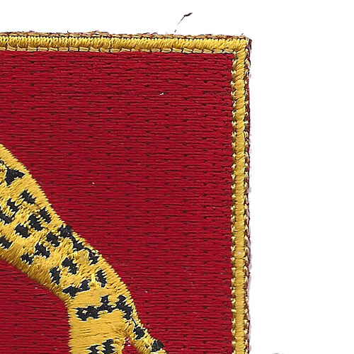 138th Armored Cavalry Regiment Patch