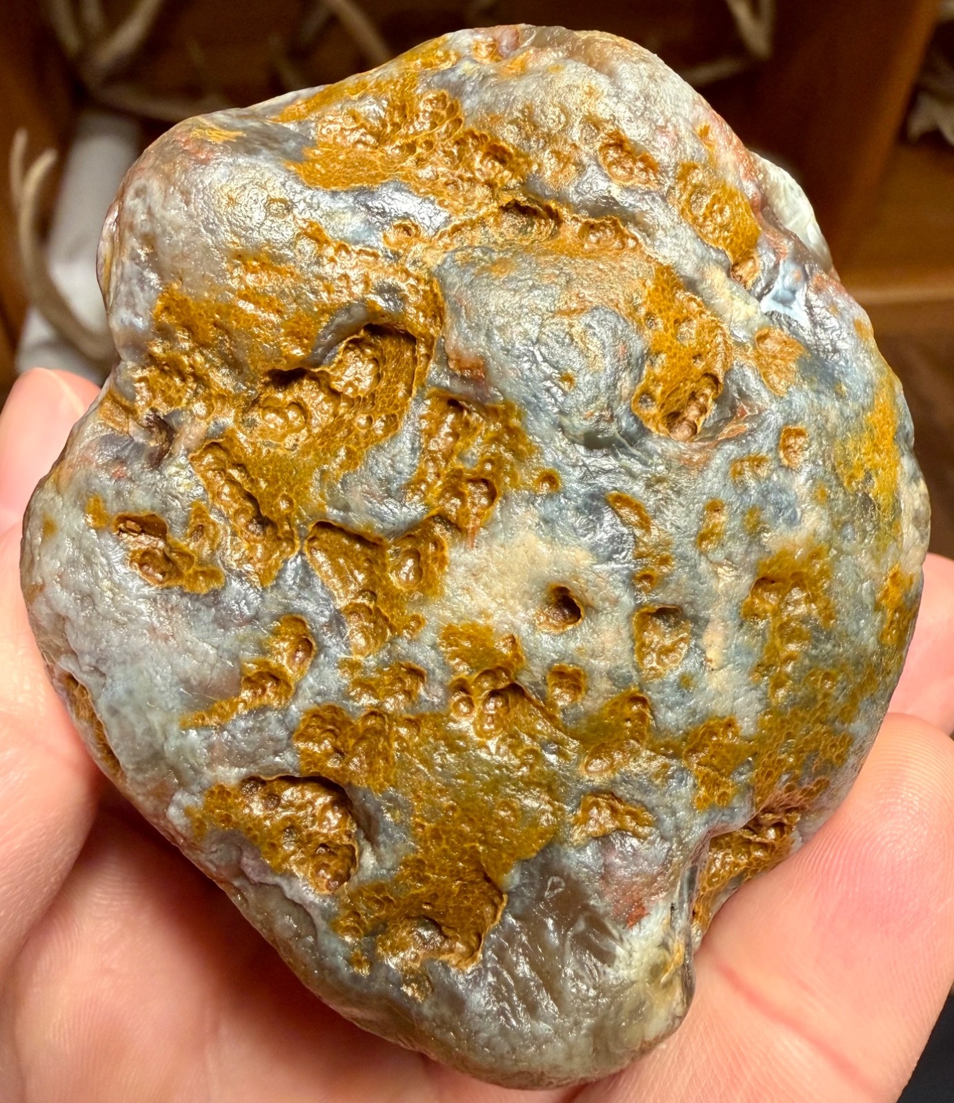 10.25oz LAKE SUPERIOR AGATE BIG BLUE JELLY SUNBLEACHED AND LIMONITE STAINING