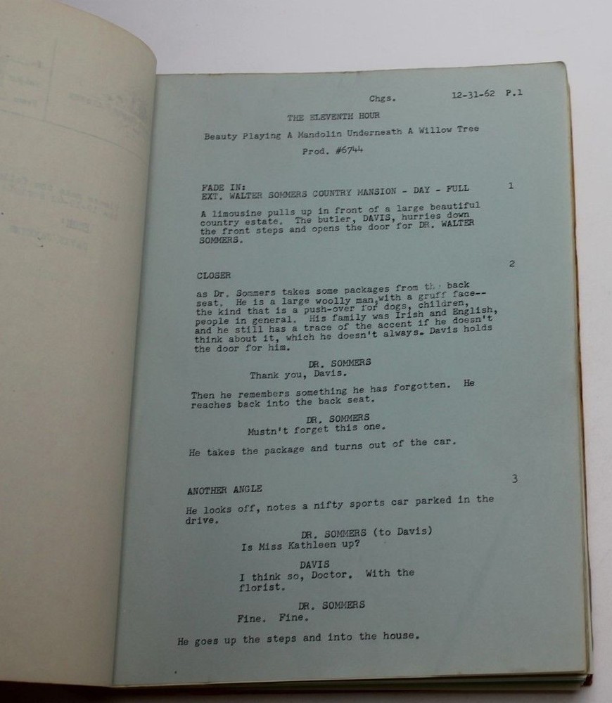 THE ELEVENTH HOUR 1962 Script Beauty Playing a Mandolin Underneath a Willow Tree