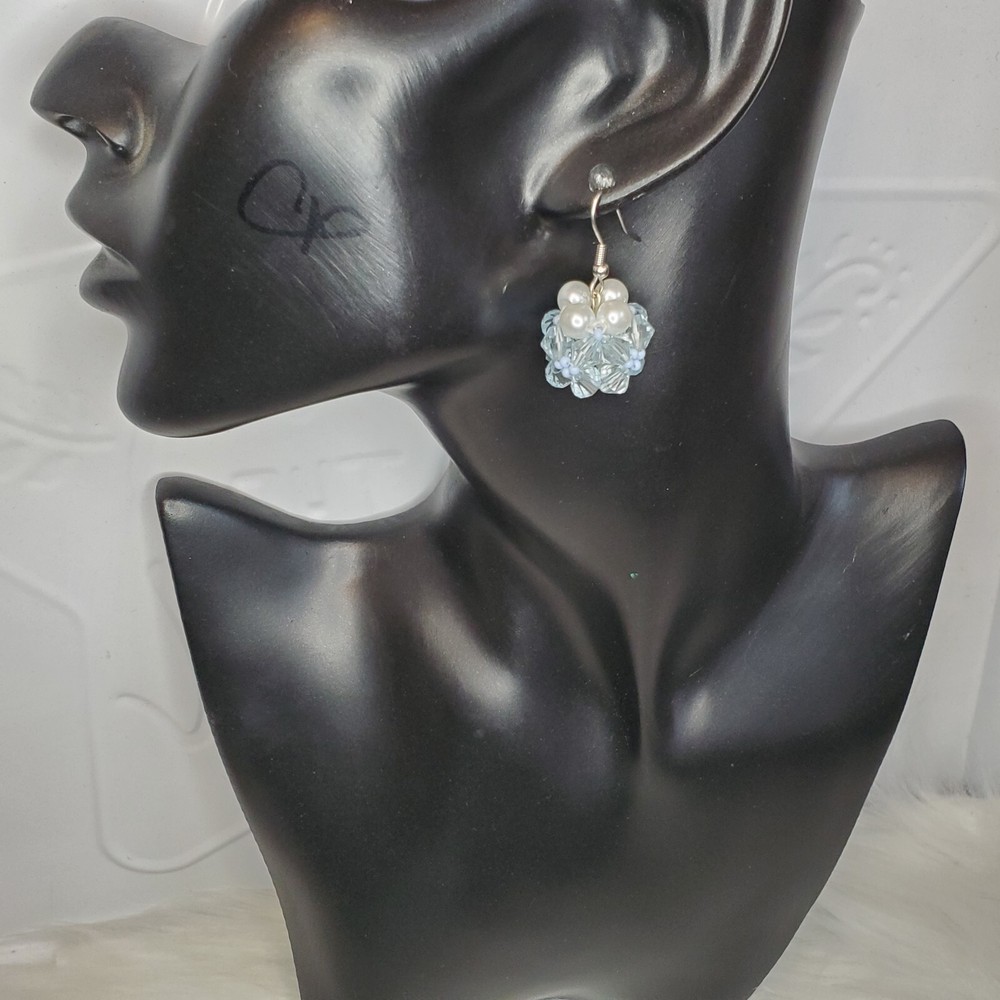 Multi Colored Beaded Earrings Drop