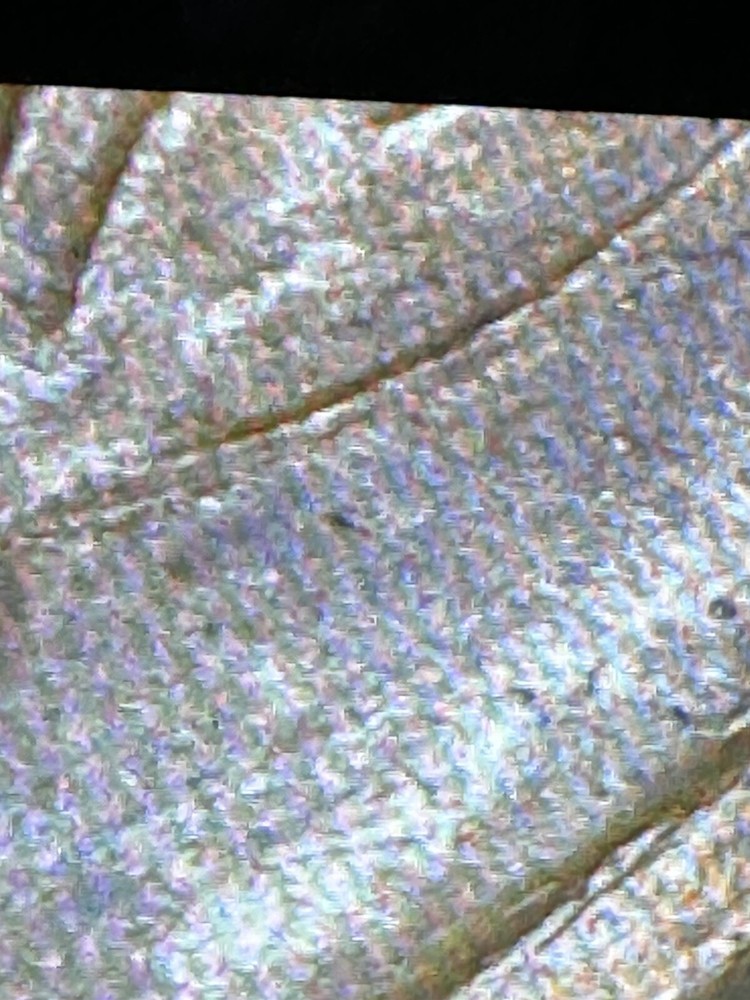 1944 Wheat Cent Lamination & Die Break, Cud errors, L On rim