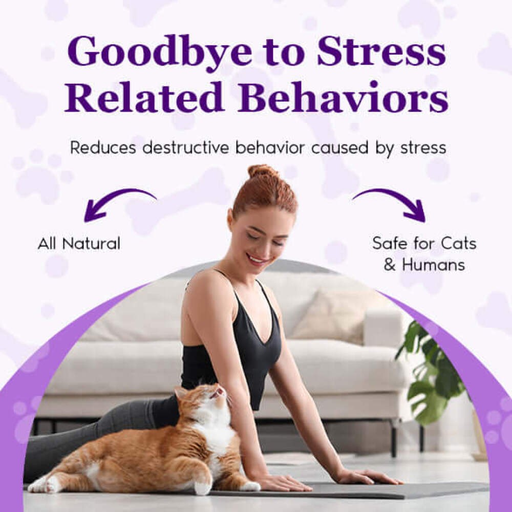 Purrfect Calm Cat Diffuser – Natural Odorless Calming Solution for Stress Relief