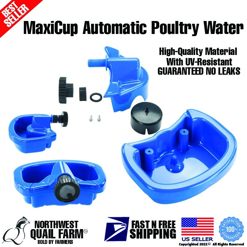 Maxicup Drinker Automatic Chicken Waterer Cup for Poultry
