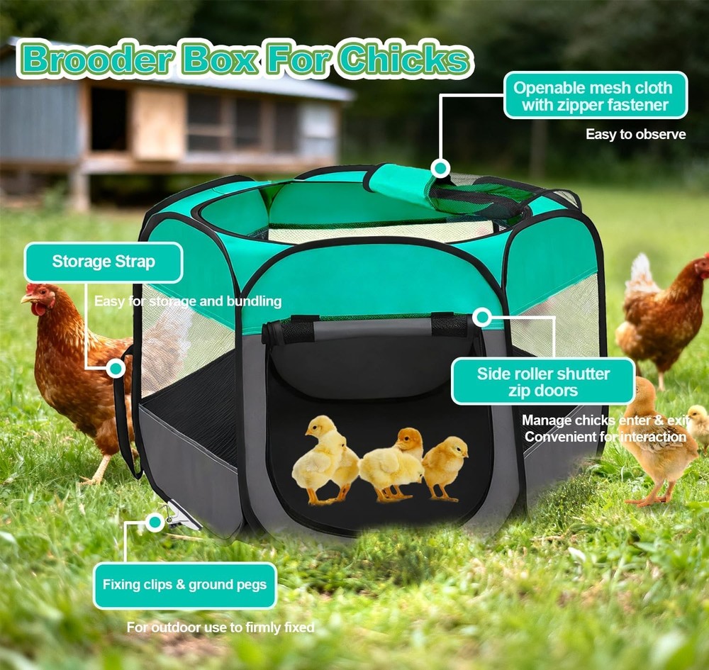 Pop Up Chicken Brooder Starter Kit - Easy to Assemble, Portable & Easy to