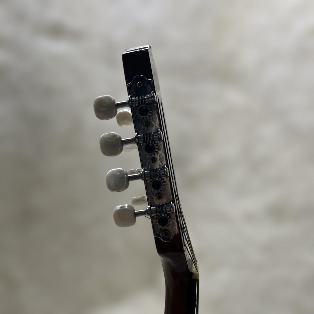 SUZUKI Mandolin M-218 1974