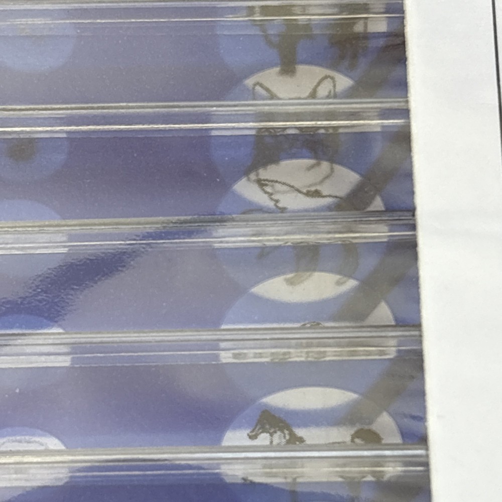 Animal Microscope Slides 12 pc