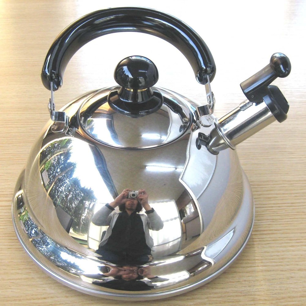 Quickone Takei Kettle 2.5 L Silver