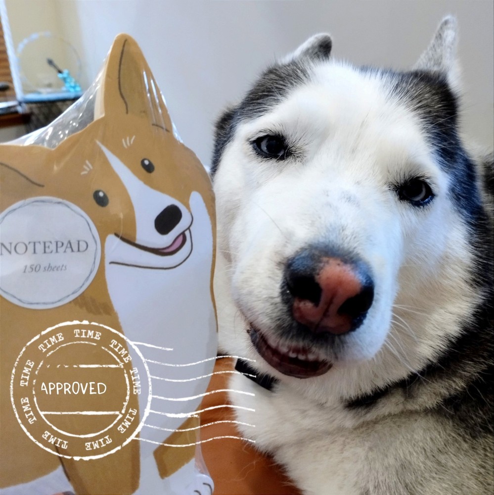 Dog Love Corgi Notepad and Blue Notepad "Your Mind" 2 pcs Set, Everyday Notes