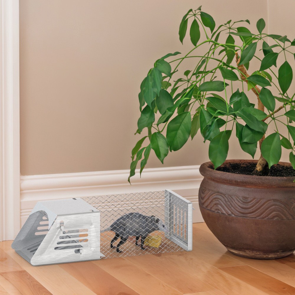 2Pcs Humane Mouse Trap Cage No Assembly Need Automatic Rat Trap Single Way Door