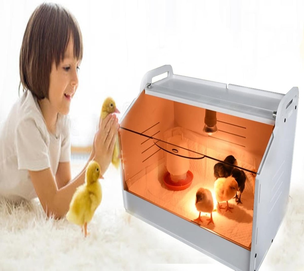 Intelligent Chick Brooder Box with Heat Lamp & Digital Temp Display Starter Kit