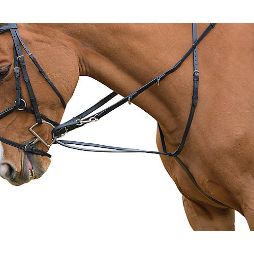 Shires Avignon German Martingale