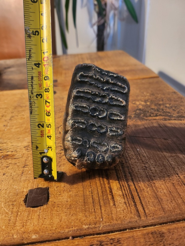 Fossilised tooth found in Happisbugh