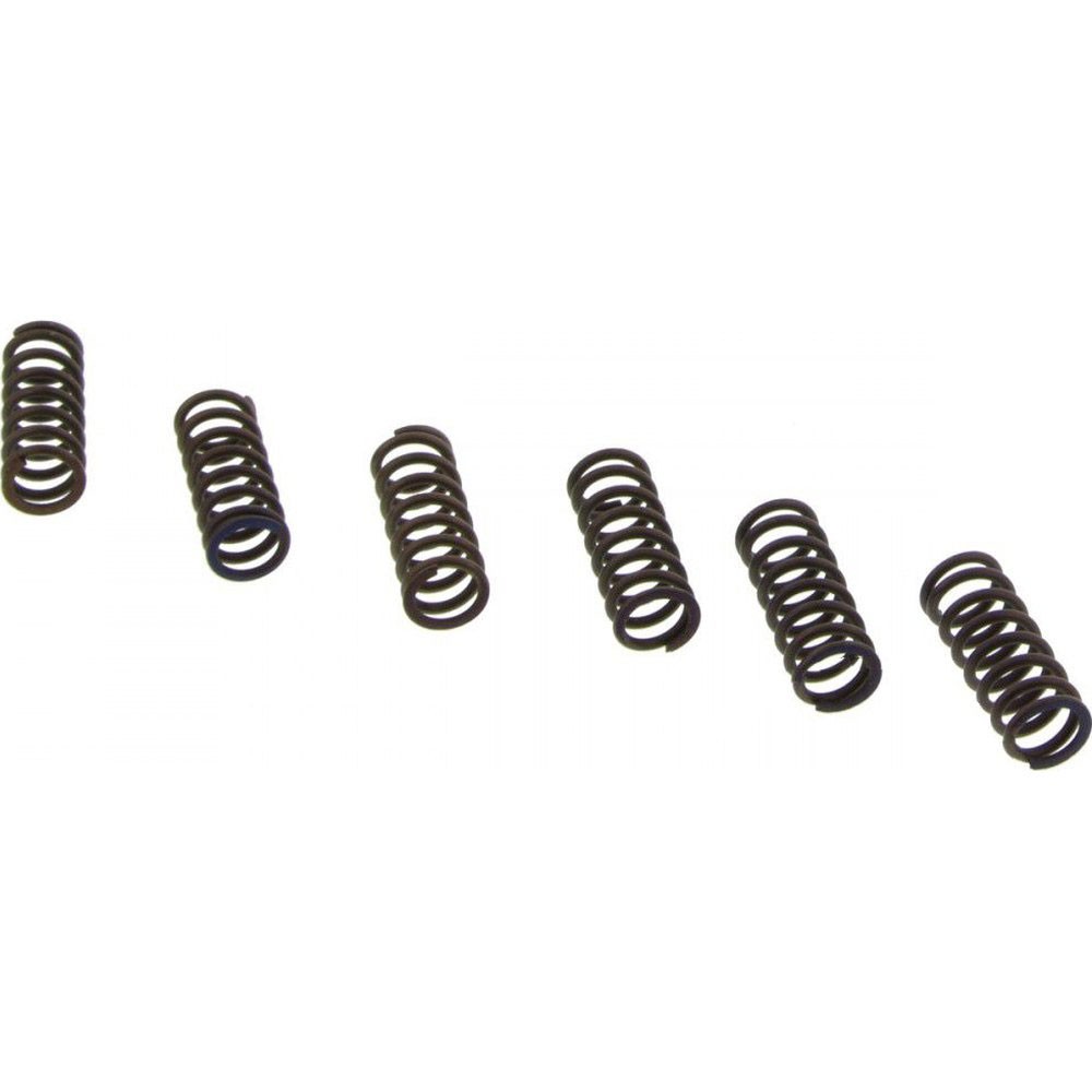 EBC CSK Clutch Spring Kit - CSK39