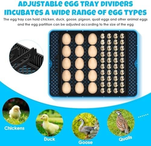 25 Egg Incubator with Humidity Display, Egg Candler, Automatic Egg Turner,