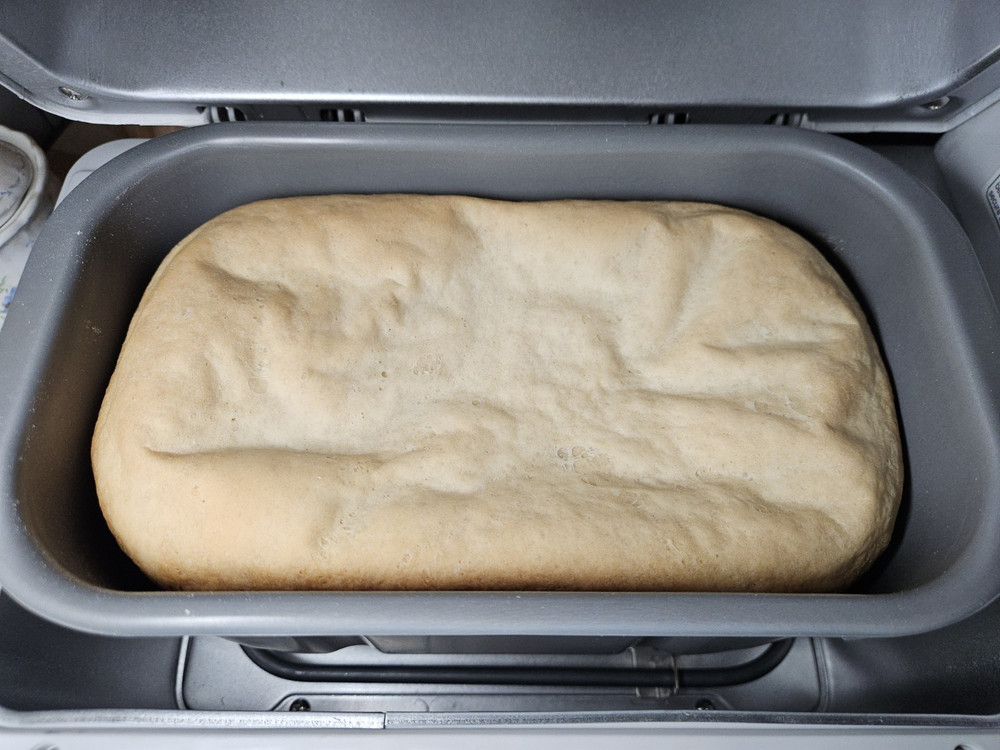 Zojirushi Home Bakery BBCC-V20 Bread Maker Machine 2lb Programmable Tested Works