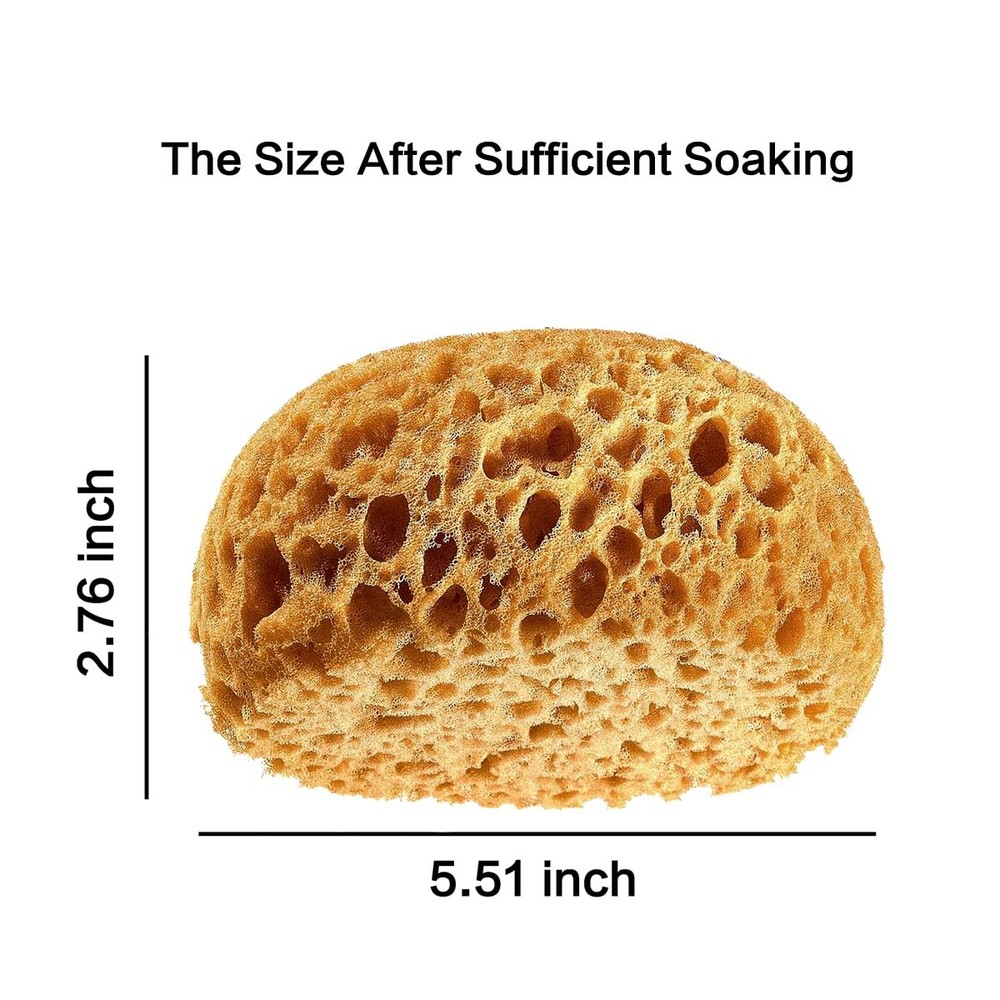 Knockdown Texture Sponge, Large 5.5x4.6x2.6 Drywall and Wall Patch Ceiling Te...