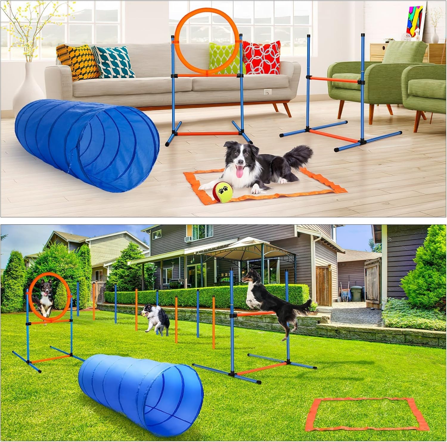 Durable Dog Agility Training Equipment Set - 60 Pieces for All Dog Sizes