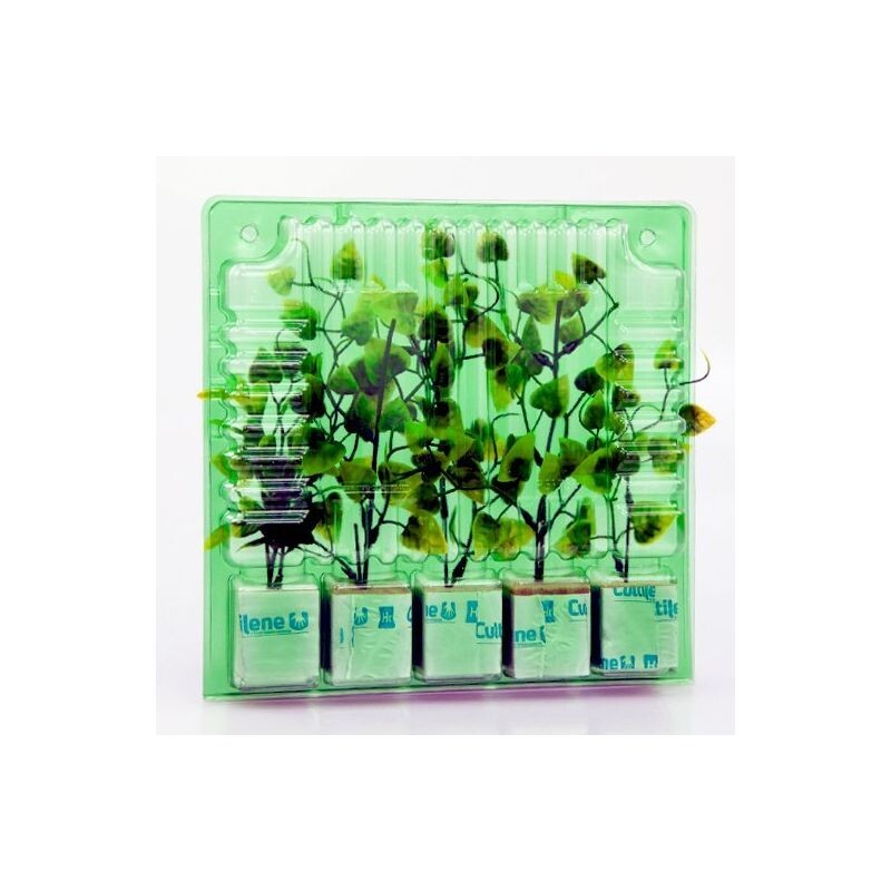 Clone Shipper 5 Plant cell Seed Tray Rockwool or Plugs  - Quantity 5