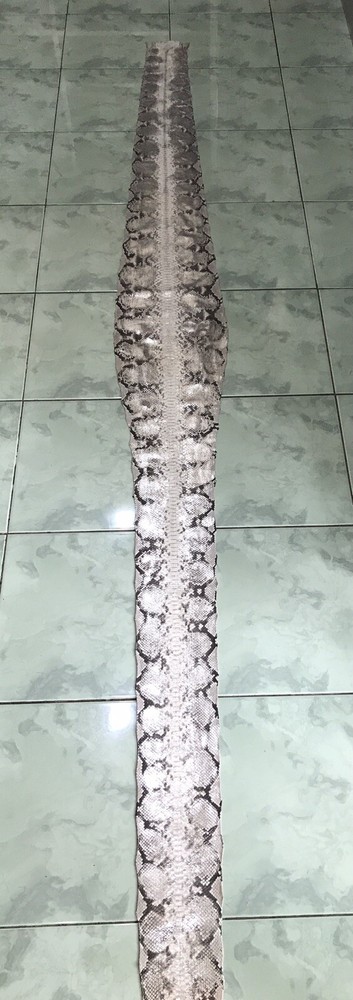 Genuine Python Leather, Exotic Snake Skin,Silver SnakeSkin,Silver Python Leather