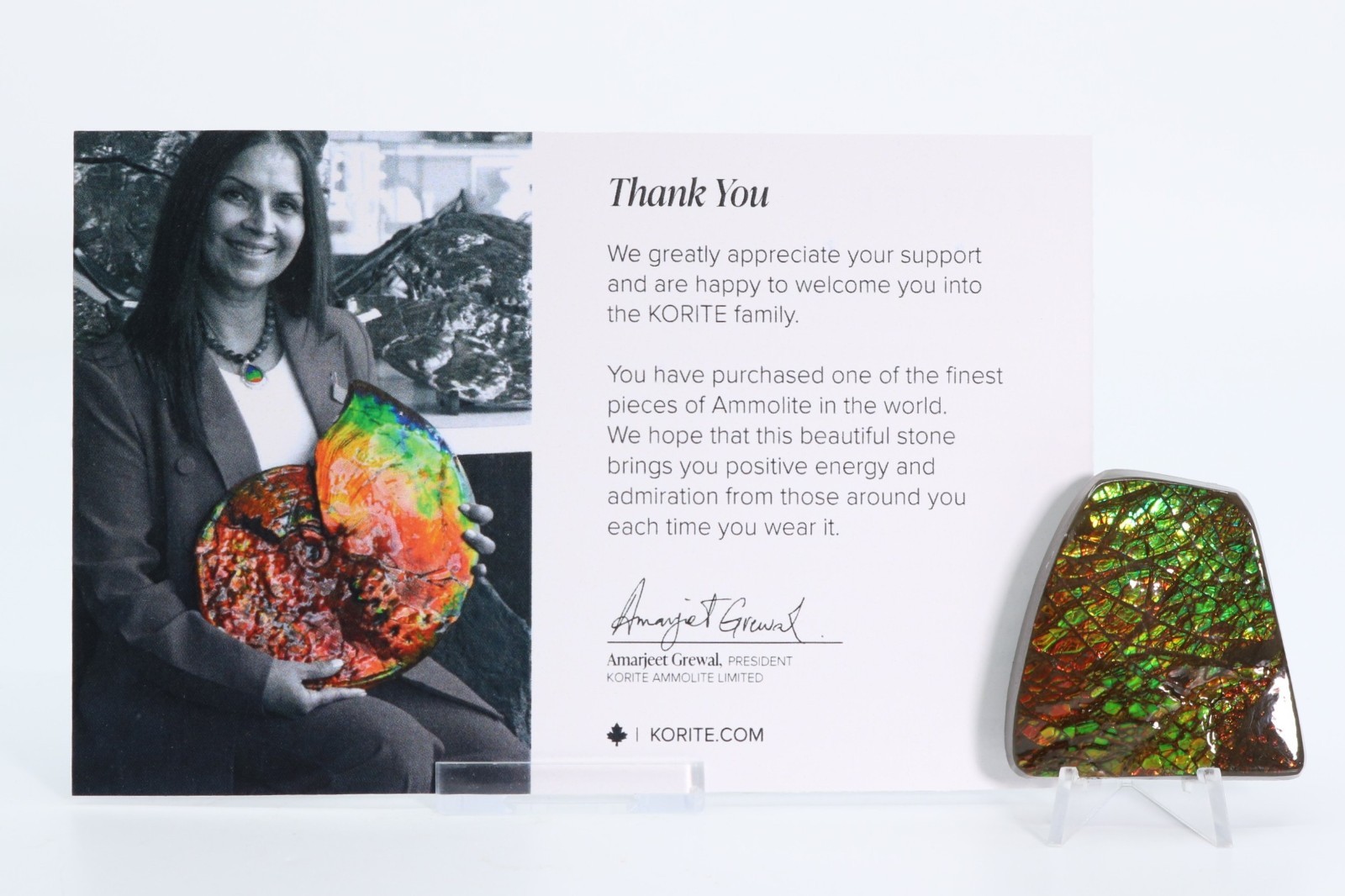 Korite Ammolite Fossil Ammonite 1.99" 50.5mm Bearpaw Fm. Alberta Canada COA 7323