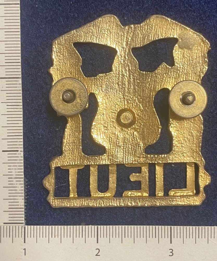 Obsolete Lieutenant hat badge