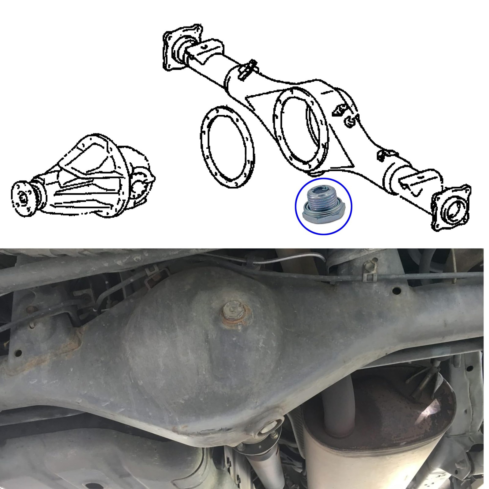 Rear Differential Drain Plug, Axle Housing Plug Compatible with 1 Pcs