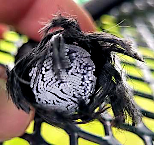 8mm HEAVY DUTY BLACK MARINE GRADE BUNGEE CORD Tarp Tie Down Strap 12-20-24-30-40