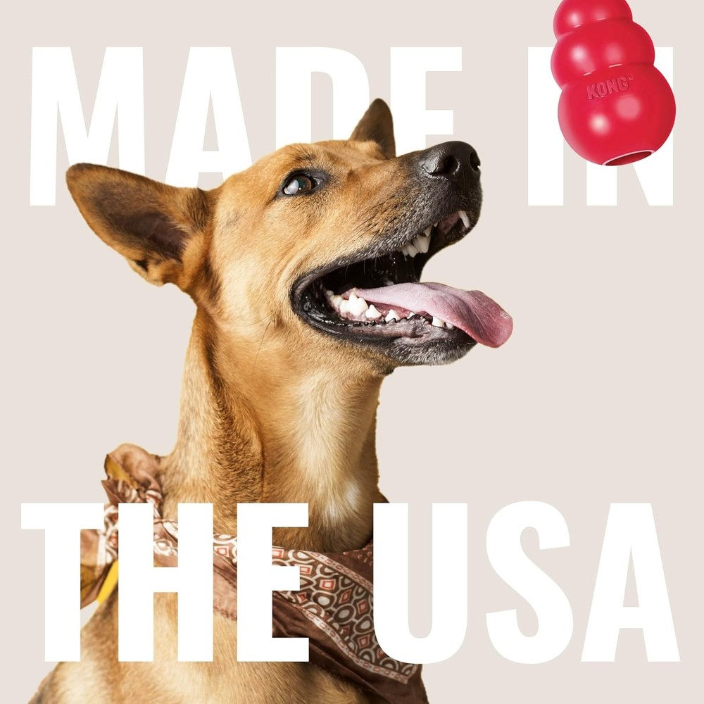 Stuffable Bouncing Durable Red Rubber Small Breed Dog Fetch Toy