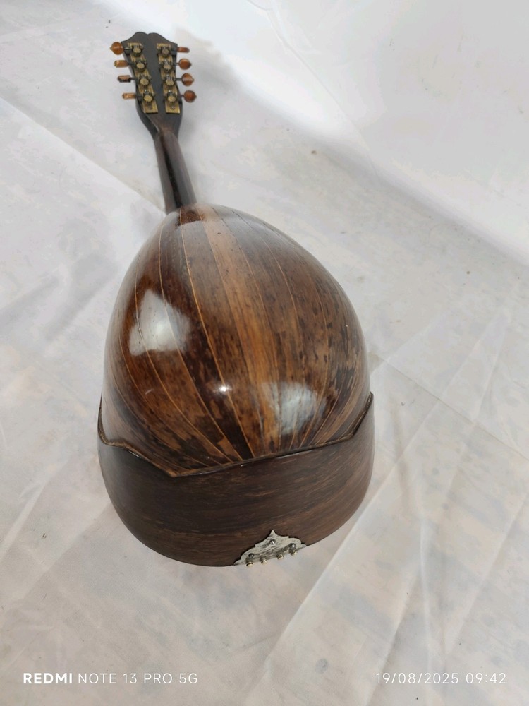 Mandolin 4/4 Alberti 1910 Rome 曼陀林 만돌린マンドリン