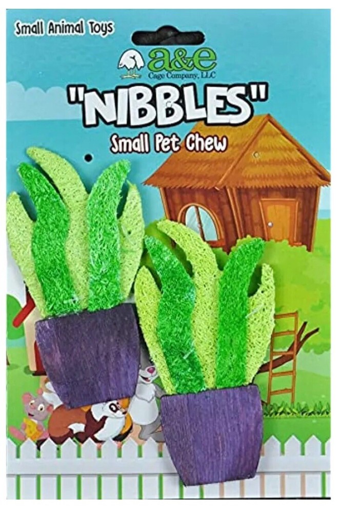 A&E Nibbles Small Pet Chews Potted Cactus