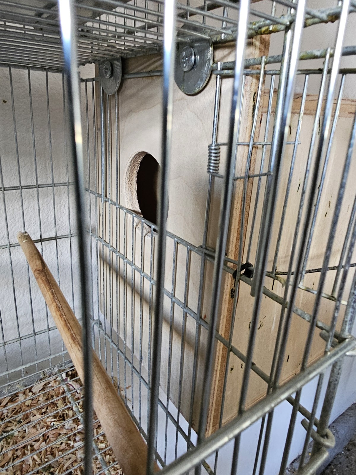 Nest Box (6"x6"x4") For Australian parakeets, finches and parrolets