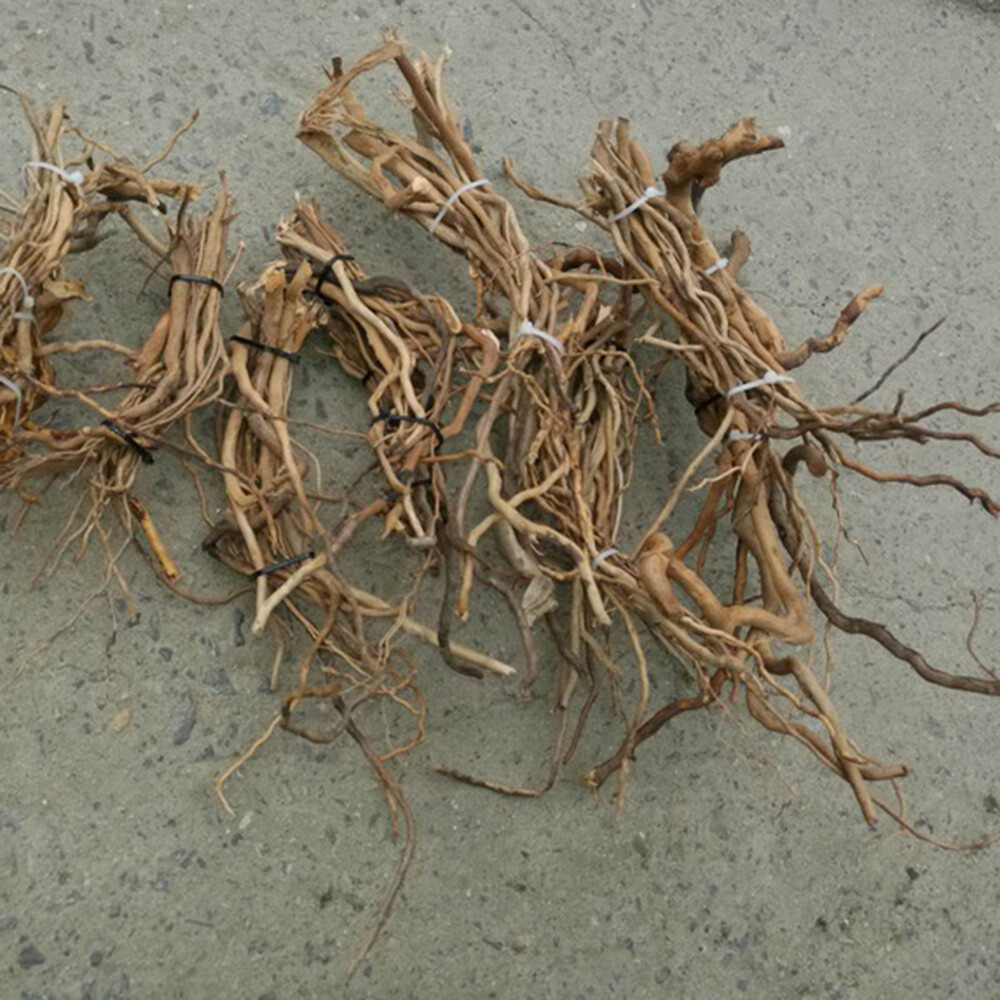 US Natural Driftwood Aquarium Root Trunk Tree Fish Tank Landscape Plant Roots