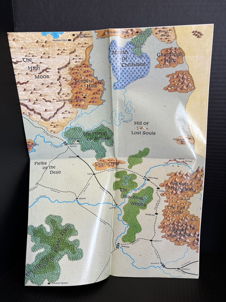 DUNGEONS & DRAGONS FORGOTTEN REALMS CAMPAIGN SETTING MAP-1993