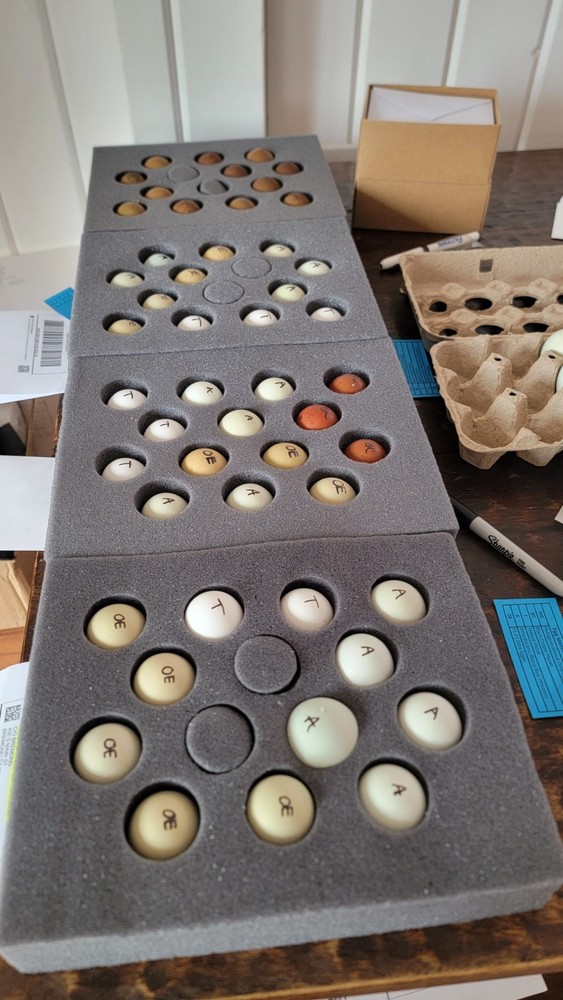 Janice Quick- Add On