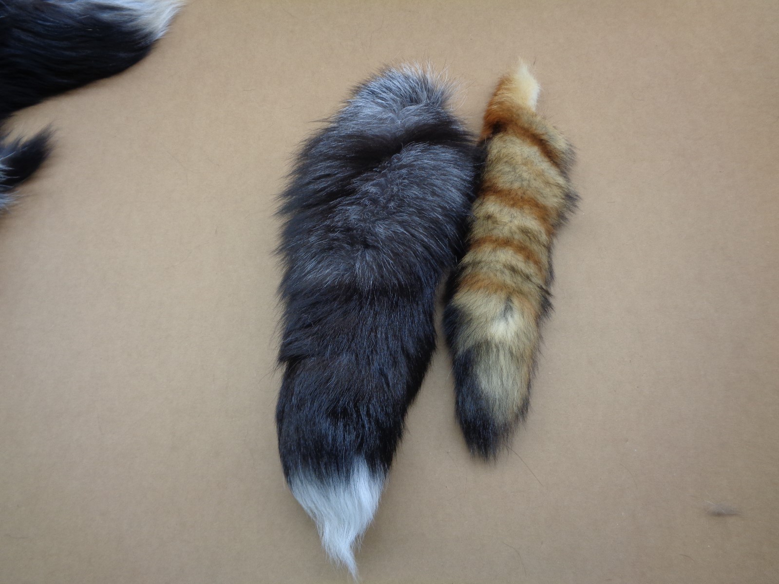 1 XXL Tanned Silver Fox Tail/Crafts/100% USA Real Fur/Purse