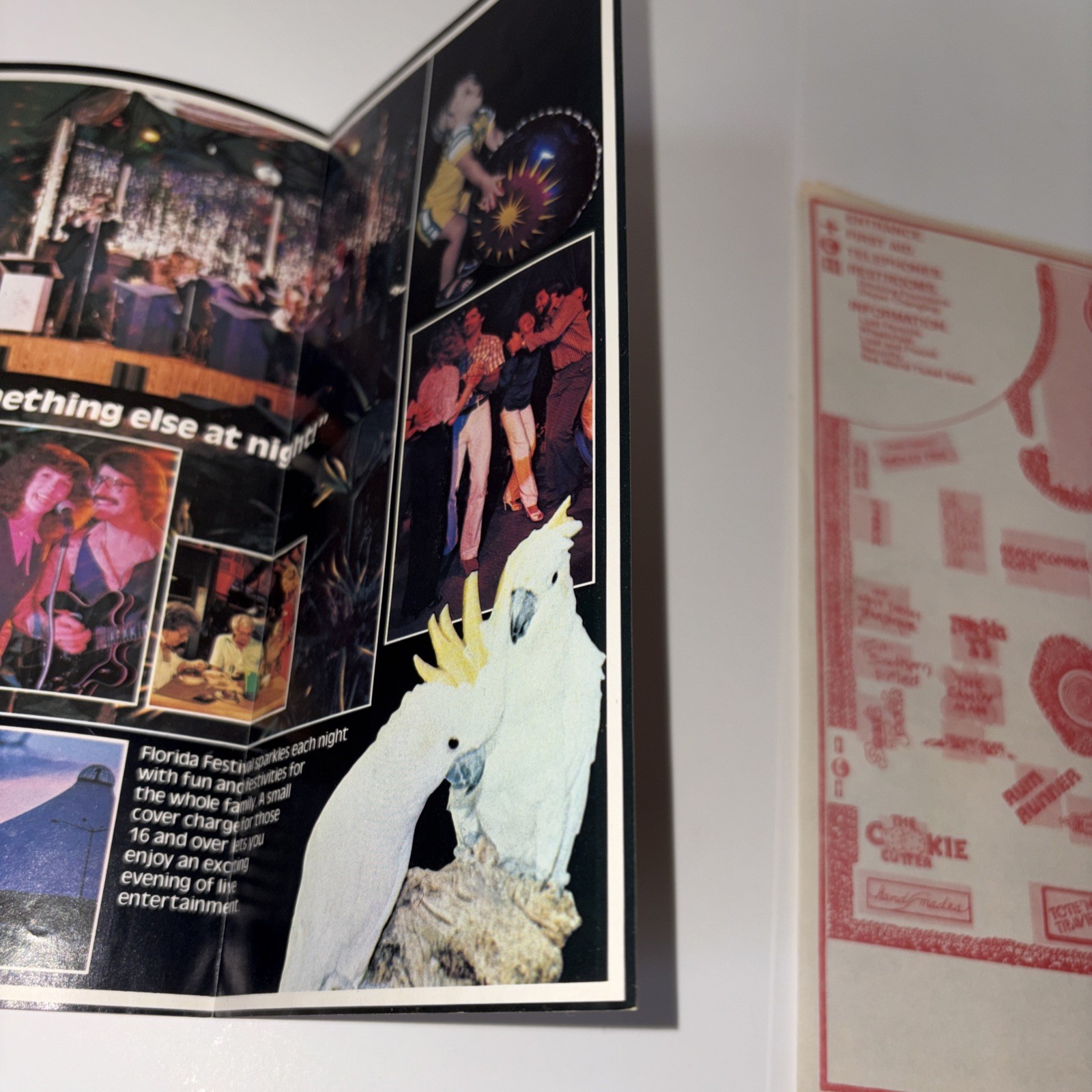 1980 Sea World Florida Festival Free Admission Souvenir Color Brochure With Map