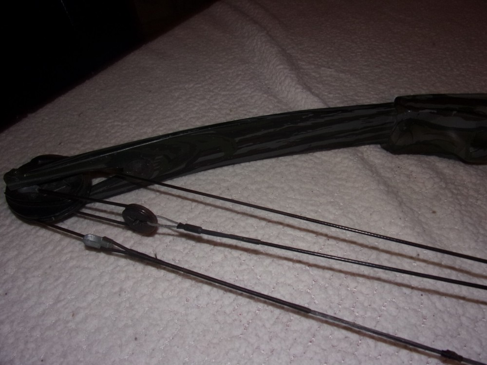 Bear Archery Cabela's Lightning Express Compound Bow