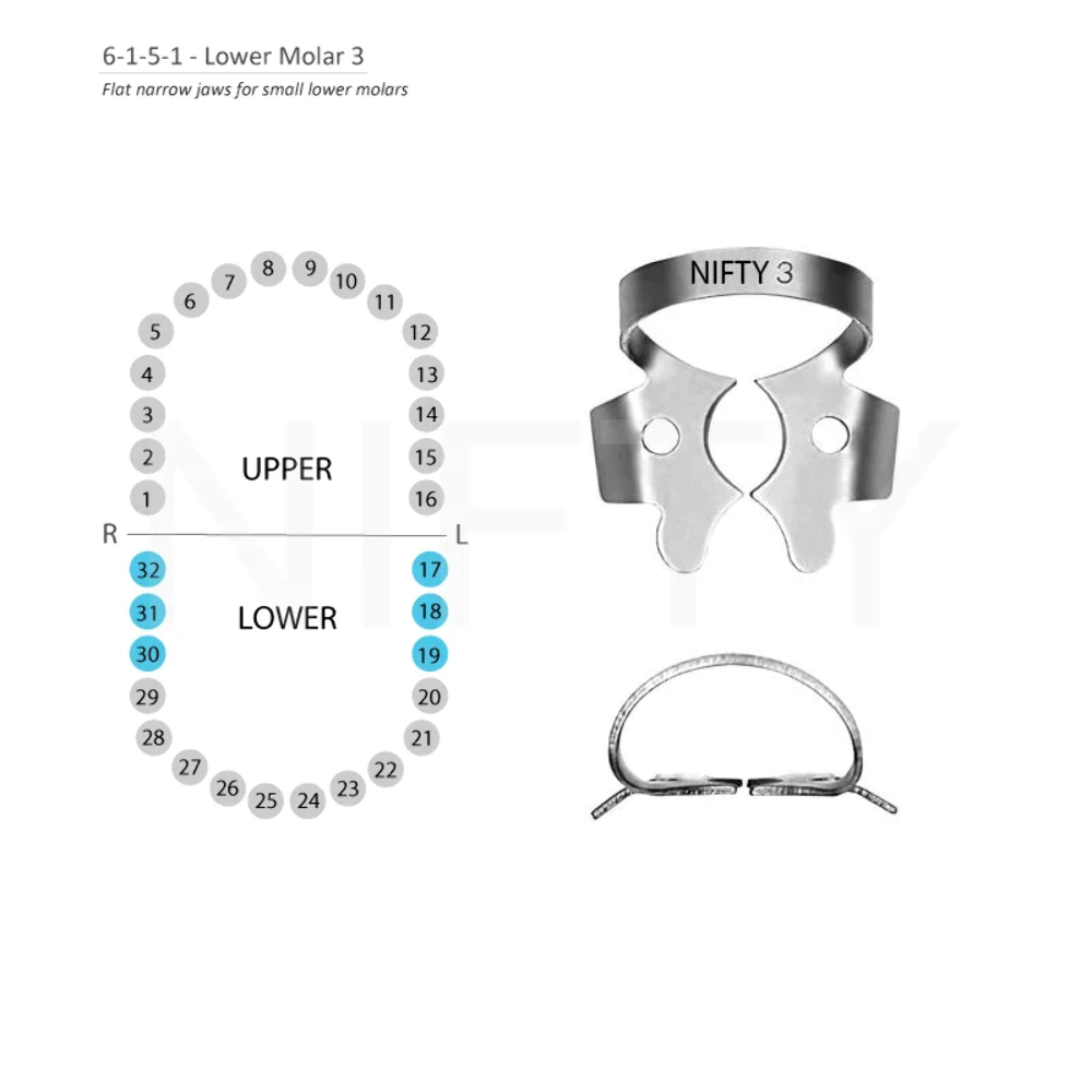 Rubber Dam Clamps Lower Molar