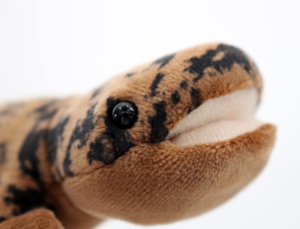 Take-Off Magnetic Salamander