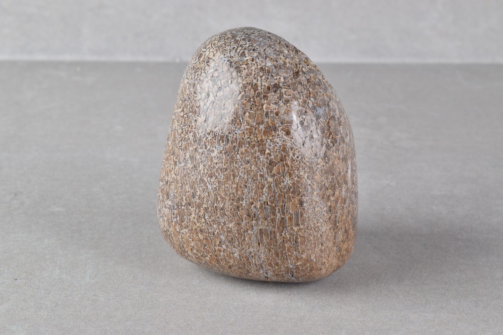 Fossilized Dinosaur Bone Polished from Morocco 4.6 cm # 19754
