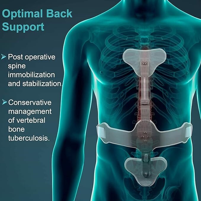"Ash Brace (Hyper Extension Brace), for Posture Correction & Spinal Support